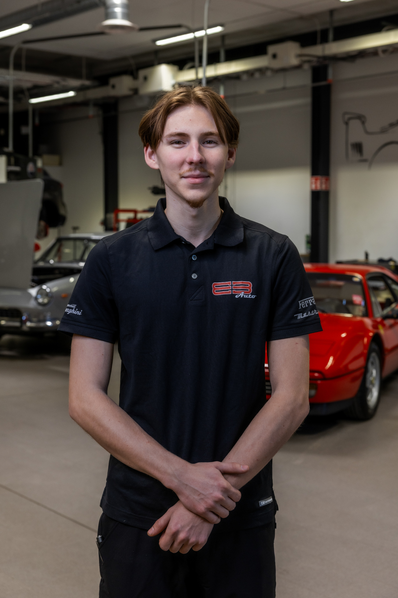 Wilde Ludvigsson